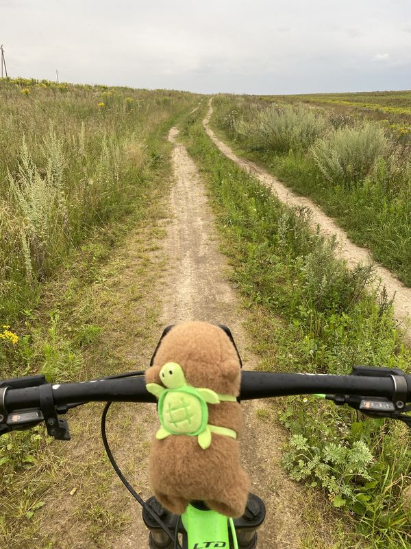 ΡΠ»ΠΈΡΠ° 8 ΠΠ°ΡΡΠ°, Π₯ΠΎΠ»ΠΎΠΏΠ΅Π½ΠΈΡΡΠΊΠΈΠΉ Π΄ΠΎ ΡΠ»ΠΈΡΠ° 8 ΠΠ°ΡΡΠ°, Π₯ΠΎΠ»ΠΎΠΏΠ΅Π½ΠΈΡΡΠΊΠΈΠΉ