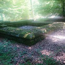 Rundum Vielbrunn und Kimbach und Wp10/11