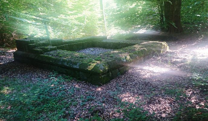 Foto 1 del percorso Bikemap "Rundum Vielbrunn und Kimbach und Wp10/11" Foto 1 del percorso Bikemap "Rundum Vielbrunn und Kimbach und Wp10/11"