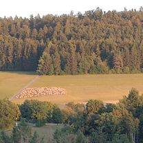 Böblingen - Meistern, Gültigen Heuweg