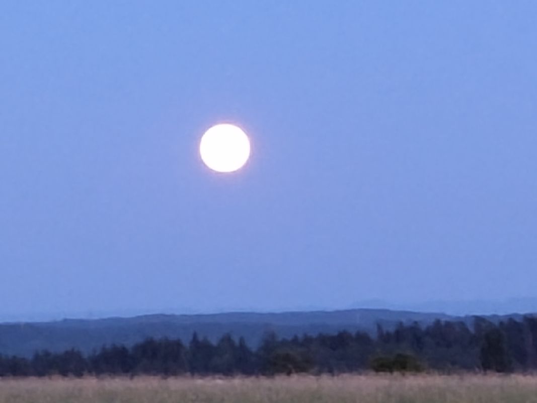 Böblingen - Meistern, Gültigen Heuweg