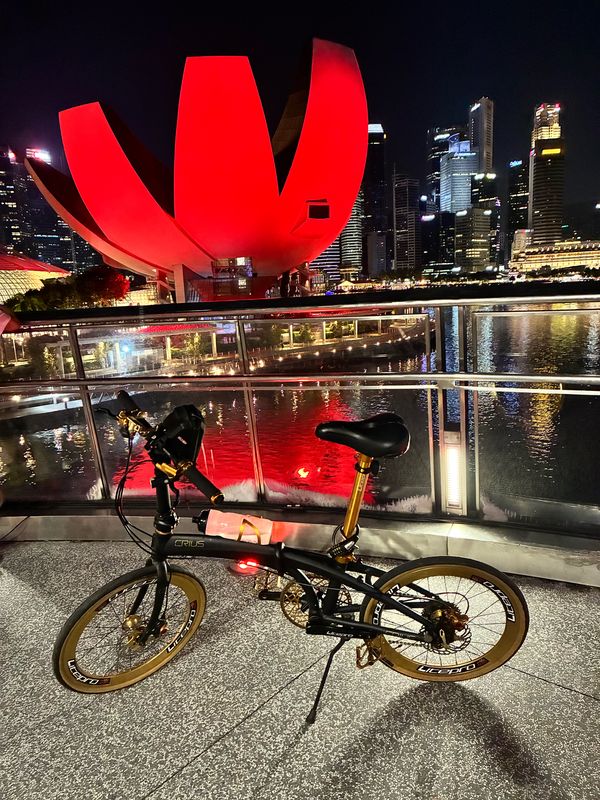 Bayfront Link, Singapore to Punggol Field, Singapore