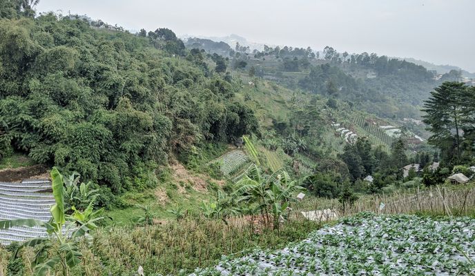 Foto 1 del percorso Bikemap "dataran tinggi" Foto 1 del percorso Bikemap "dataran tinggi"