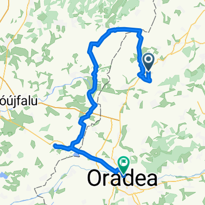 DN19, Diosig to Schlauch kert, Oradea