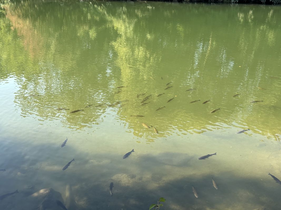 Dampfsägestraße, Amstetten nach Dampfsägestraße, Amstetten