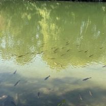 Dampfsägestraße, Amstetten nach Dampfsägestraße, Amstetten
