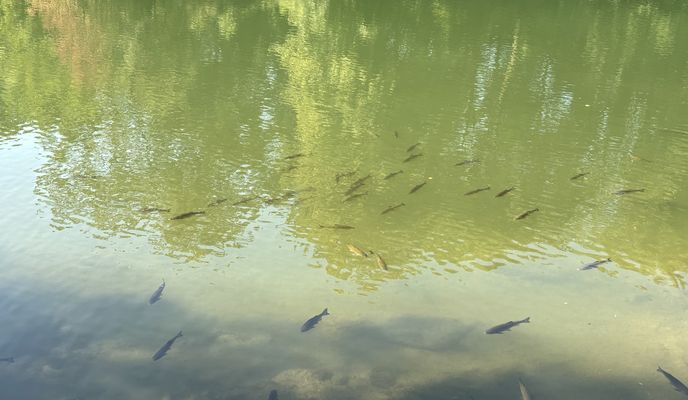 Photo 1 de l’itinéraire Bikemap « Dampfsägestraße, Amstetten nach Dampfsägestraße, Amstetten »