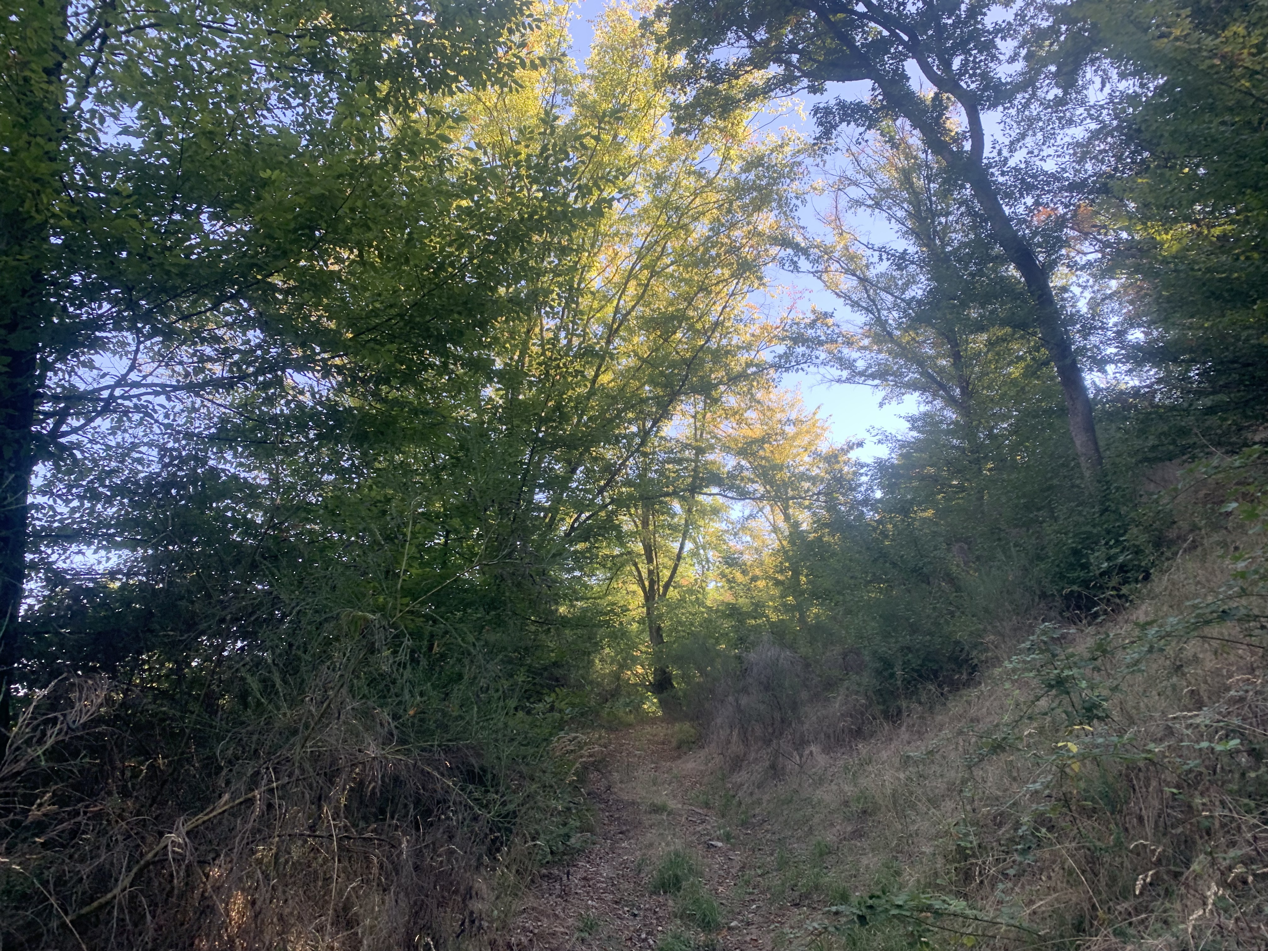 Ghioroc-Cuvin, Ghioroc to Sâmbăteni-Ghioroc, Ghioroc