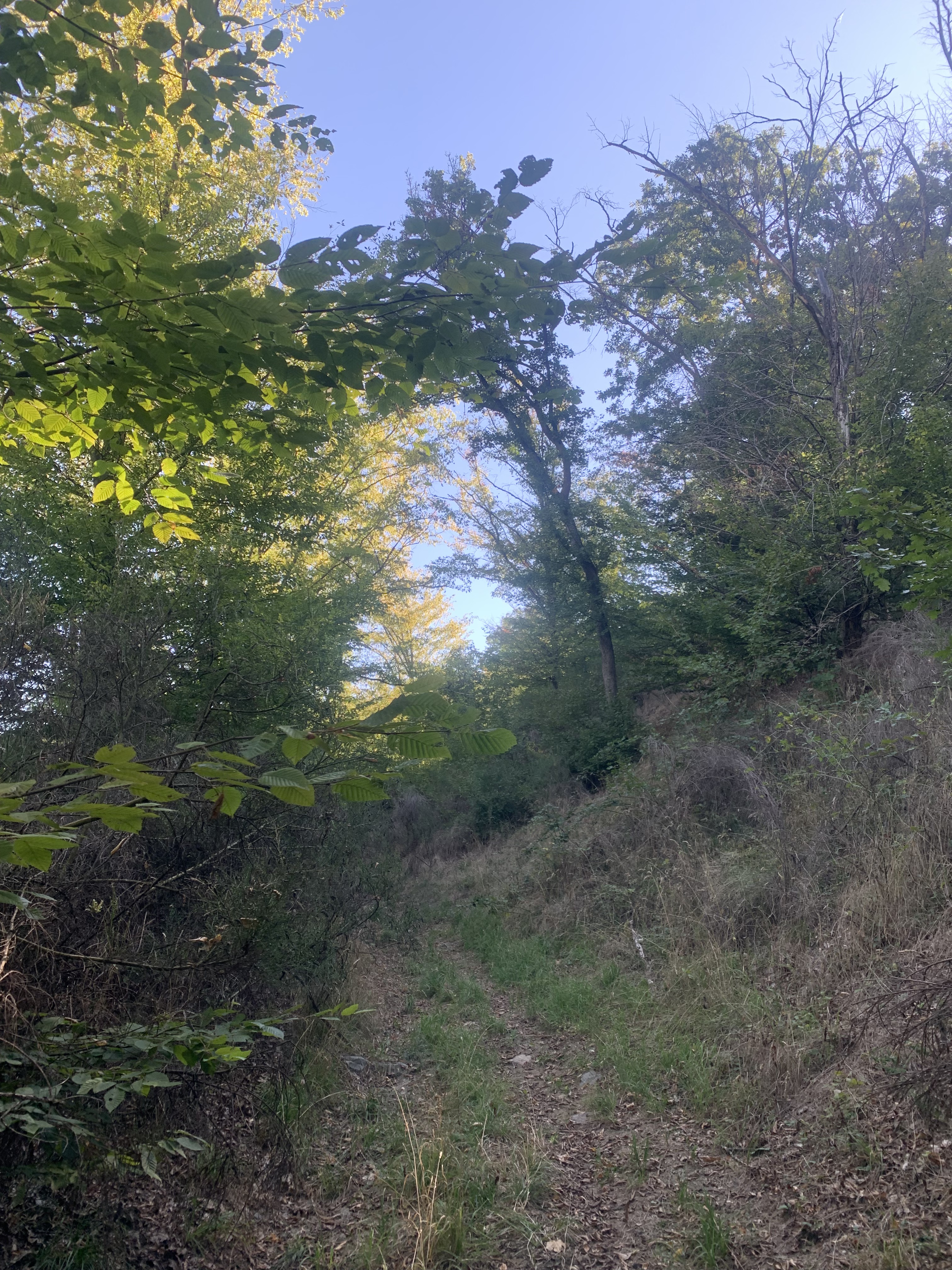 Ghioroc-Cuvin, Ghioroc to Sâmbăteni-Ghioroc, Ghioroc