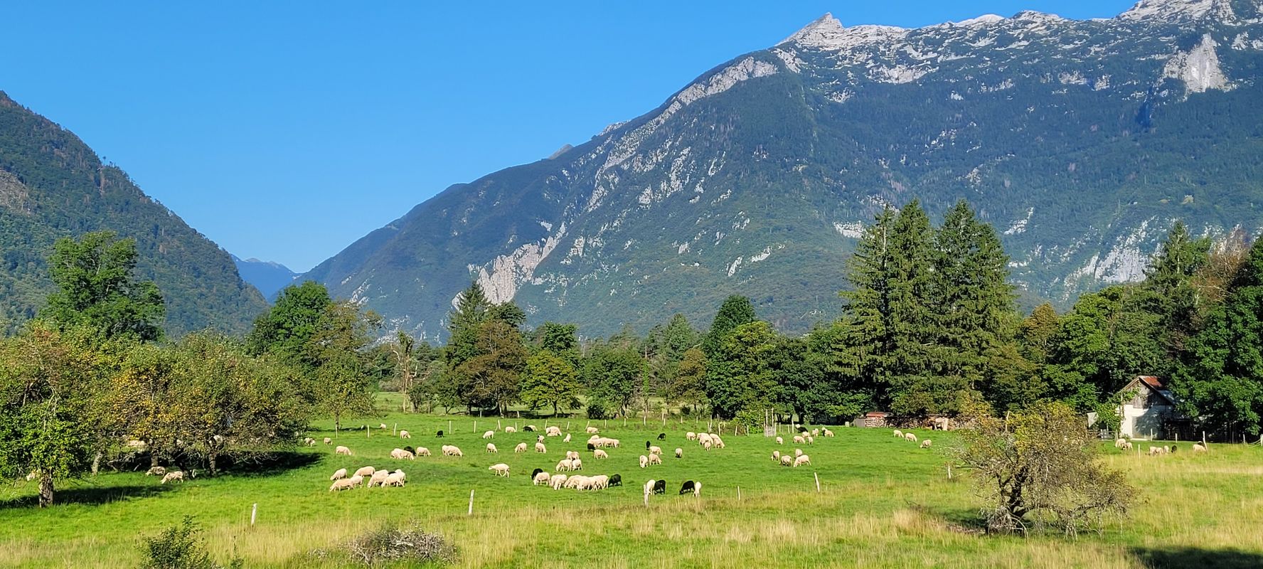 Trenta - Izvir Šoče