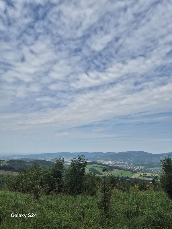 Seifertova do Seifertova