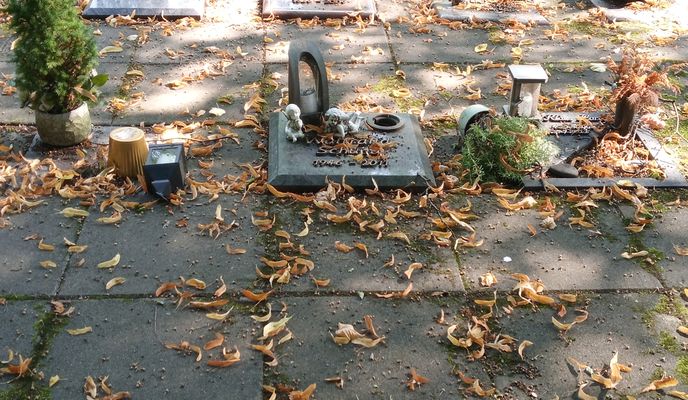 Foto 1 der Bikemap-Route "Route nach Südstraße 37D"