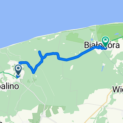 Stokrotki, Lubiatowo do Modrzewiowa, Białogóra
