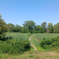 Kikötő körút - Kikötő körút