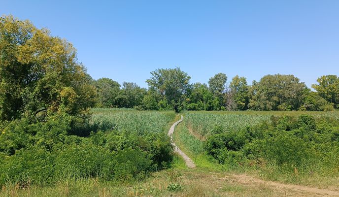 Foto 1 de la ruta de Bikemap "Kikötő körút - Kikötő körút"