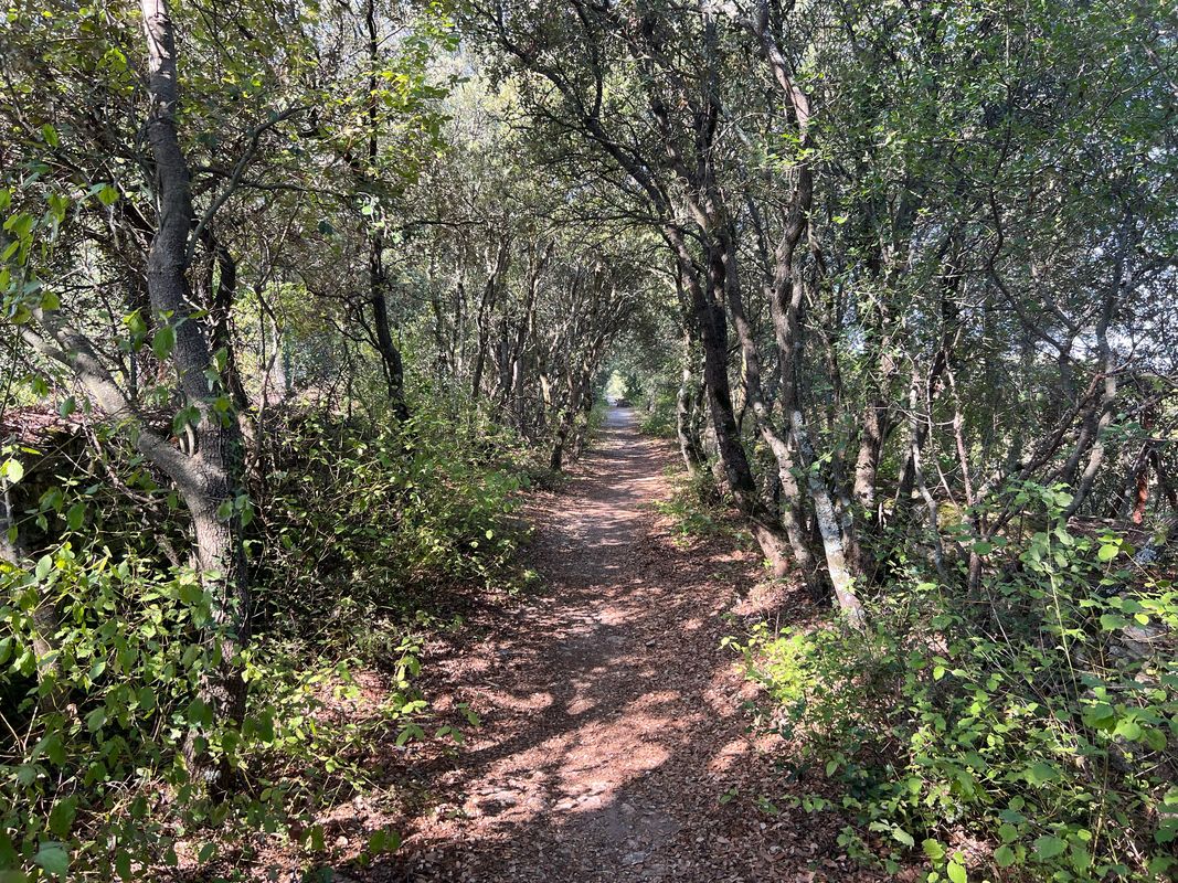 Bonnieux cercle 31 km