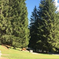 Photo 8 of the Bikemap route "Incudine- Val Paghera" Photo 8 of the Bikemap route "Incudine- Val Paghera"