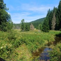 Zdjęcie 7 trasy Bikemap „Finsterau - Bucina - Kvilda - Srni - Modrava - Finsterau”