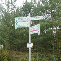 Runde Scheibe-See Bernsteinsee