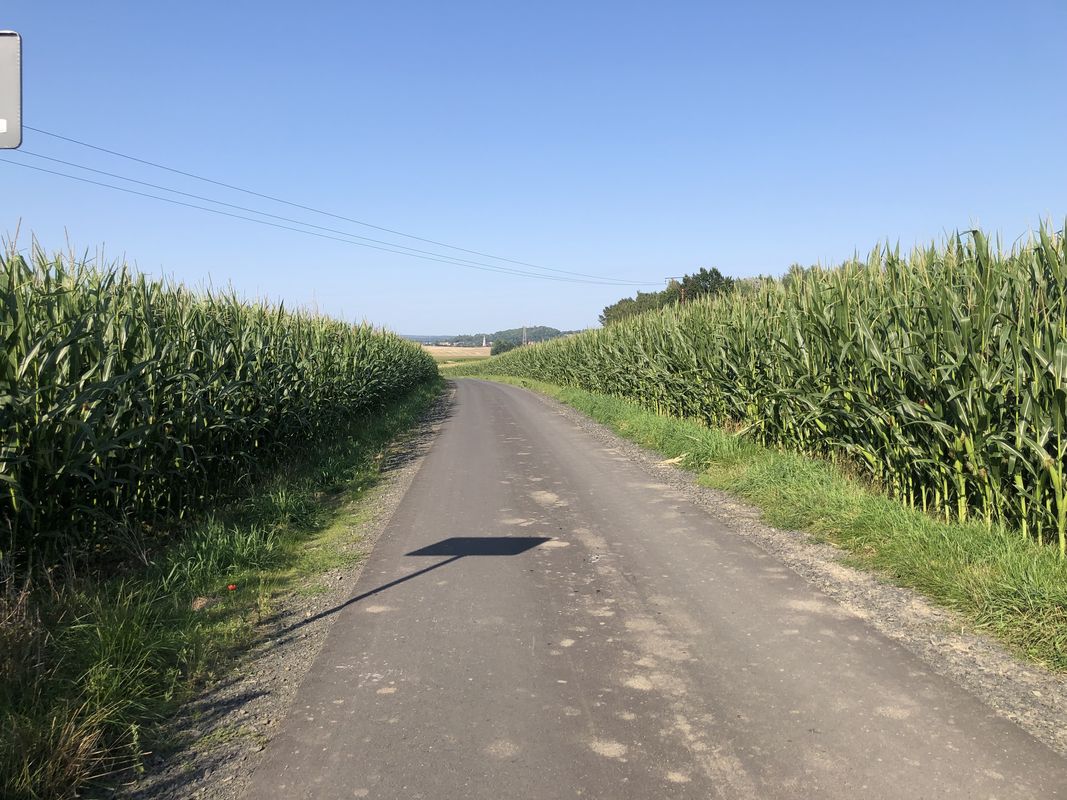 Adama Mickiewicza, Zawidów do Adama Mickiewicza, Zawidów