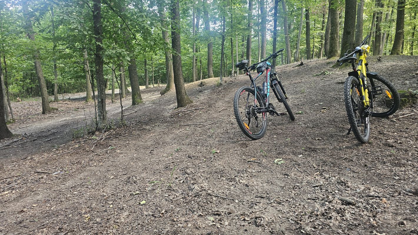 Strada Armoniei to Strada Armoniei