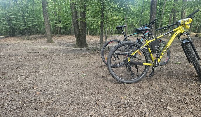 Photo 1 of the Bikemap route "Strada Armoniei to Strada Armoniei"