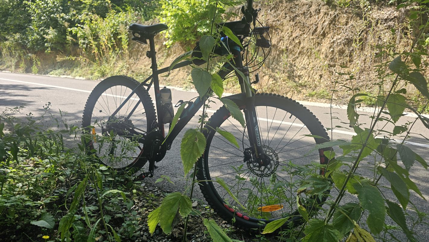 Strada Armoniei to Strada Armoniei