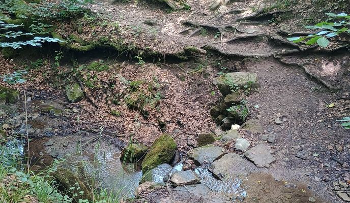 Foto 2 de la ruta de Bikemap "Sonnenhalde to Sonnenhalde"