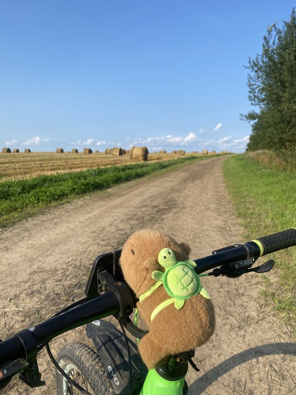 ΡΠ»ΠΈΡΠ° 8 ΠΠ°ΡΡΠ°, Π₯ΠΎΠ»ΠΎΠΏΠ΅Π½ΠΈΡΡΠΊΠΈΠΉ Π΄ΠΎ ΡΠ»ΠΈΡΠ° 8 ΠΠ°ΡΡΠ°, Π₯ΠΎΠ»ΠΎΠΏΠ΅Π½ΠΈΡΡΠΊΠΈΠΉ