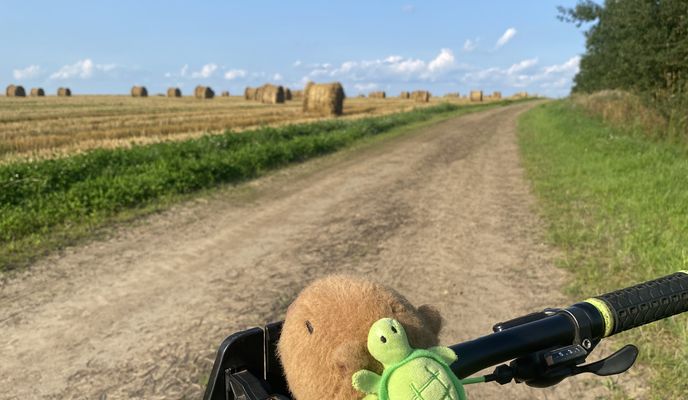 Photo 2 of the Bikemap route "улица 8 Марта, Холопеничский до улица 8 Марта, Холопеничский"