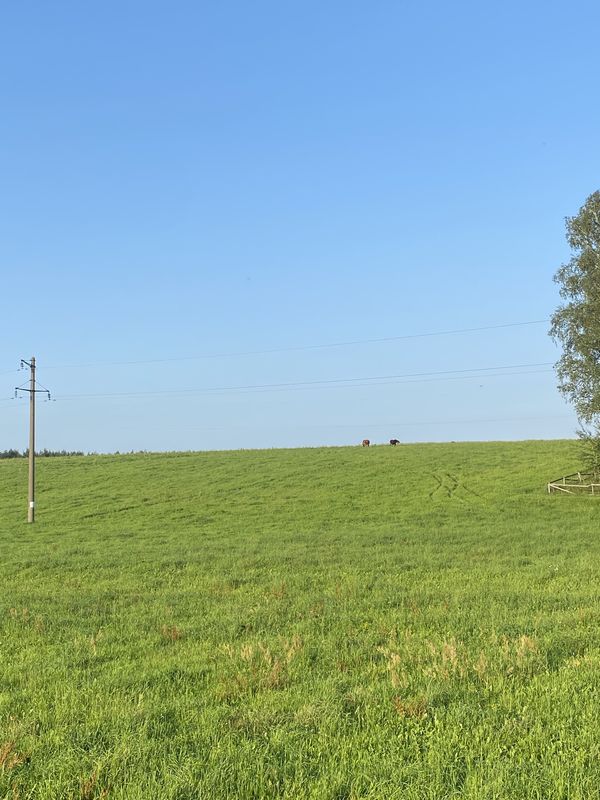 ΡΠ»ΠΈΡΠ° 8 ΠΠ°ΡΡΠ°, Π₯ΠΎΠ»ΠΎΠΏΠ΅Π½ΠΈΡΡΠΊΠΈΠΉ Π΄ΠΎ ΡΠ»ΠΈΡΠ° 8 ΠΠ°ΡΡΠ°, Π₯ΠΎΠ»ΠΎΠΏΠ΅Π½ΠΈΡΡΠΊΠΈΠΉ