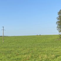 улица 8 Марта, Холопеничский до улица 8 Марта, Холопеничский