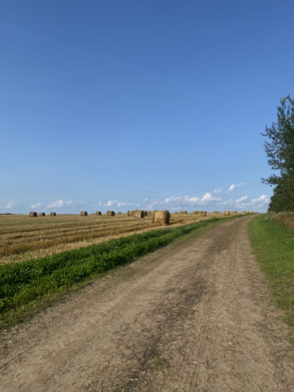 ΡΠ»ΠΈΡΠ° 8 ΠΠ°ΡΡΠ°, Π₯ΠΎΠ»ΠΎΠΏΠ΅Π½ΠΈΡΡΠΊΠΈΠΉ Π΄ΠΎ ΡΠ»ΠΈΡΠ° 8 ΠΠ°ΡΡΠ°, Π₯ΠΎΠ»ΠΎΠΏΠ΅Π½ΠΈΡΡΠΊΠΈΠΉ