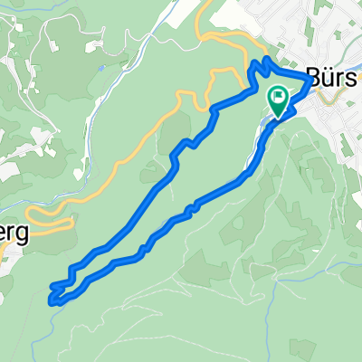 Wildes Wasser in der Bürser Schlucht