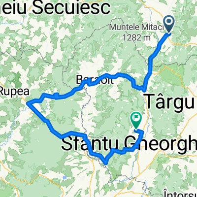 DC176 - Valea Crișului