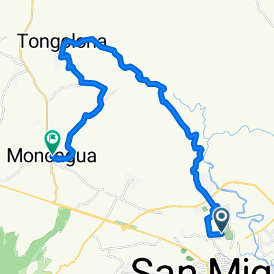 tangolona