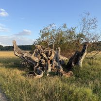 Digterparken, Ballerup to Digterparken, Ballerup