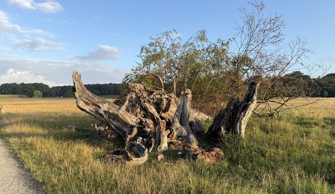 Photo 1 de l’itinéraire Bikemap « Digterparken, Ballerup to Digterparken, Ballerup »