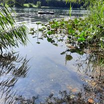 Sudermannstraße nach Freiburg im Breisgau
