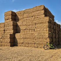 KROMERIZ_25-08-10 (1)