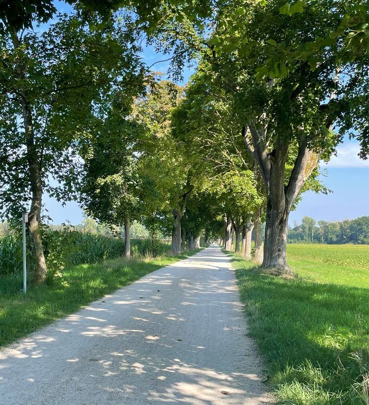 Webergasse, Neuburg an der Donau nach Webergasse, Neuburg an der Donau