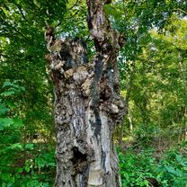 Webergasse, Neuburg an der Donau nach Webergasse, Neuburg an der Donau