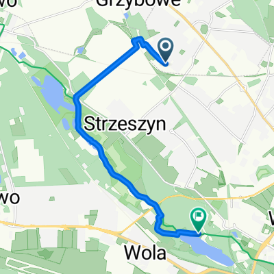 Poziomkowa, Suchy Las do Golęcińska, Poznań