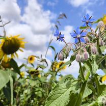 Osterkamp nach Wittekindsweg 12B