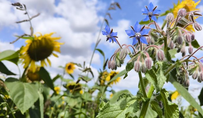 Photo 1 of the Bikemap route "Osterkamp nach Wittekindsweg 12B"