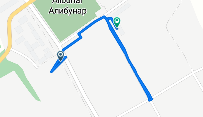 Трг слободе, Alibunar to Немањина, Alibunar