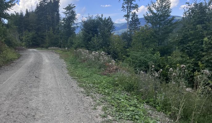 Foto 2 der Bikemap-Route "48.858, 19.809 to 48.852, 19.765"