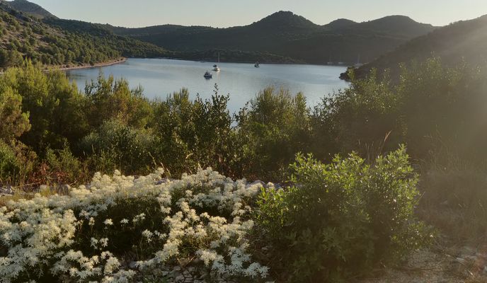 Foto 2 de la ruta de Bikemap "žman-grpaščak-sv. Ante Padovanski-bočac-žman"
