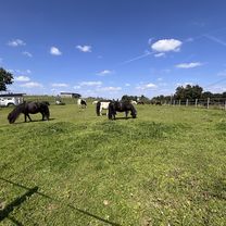 Friedrichstraße, Iserlohn nach Friedrichstraße, Iserlohn
