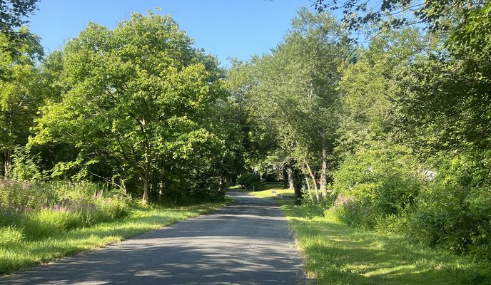 Zdjęcie 1 trasy Bikemap „Grant Estate Dr, West Simsbury to Grant Estate Dr, West Simsbury”